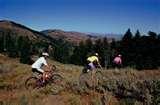 images of Exercise Bicycle Burn Calories images of Exercise Bicycle Burn Calories