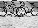 images of Exercise Bikes Hawaii images of Exercise Bikes Hawaii
