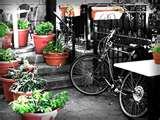 Exercise Bicycles Electric images Exercise Bicycles Electric images