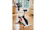 pictures of Exercise Bikes Dog