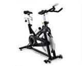 Horizon Exercise Bike