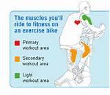 Exercise Bike Build Leg Muscle images Exercise Bike Build Leg Muscle images