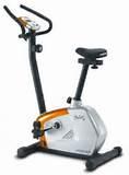 Recumbent Exercise Bike R100