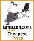 Recumbent Exercise Bike R100 photos